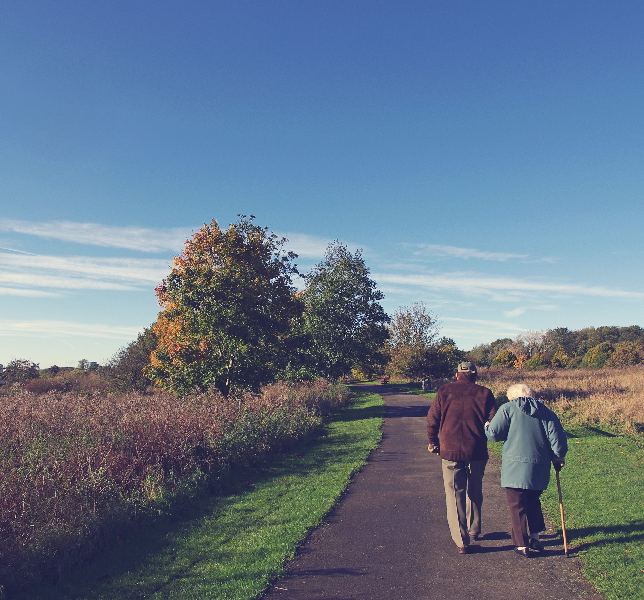 Decorative image of old couple in a park